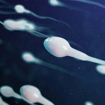 Defeito na ponte: estudo esclarece motivo pelo qual alguns homens não produzem esperma - Freepik