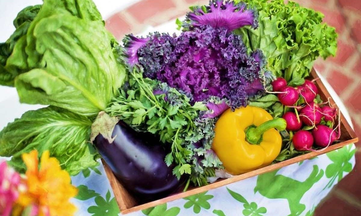 cesta com verduras e legumes variados