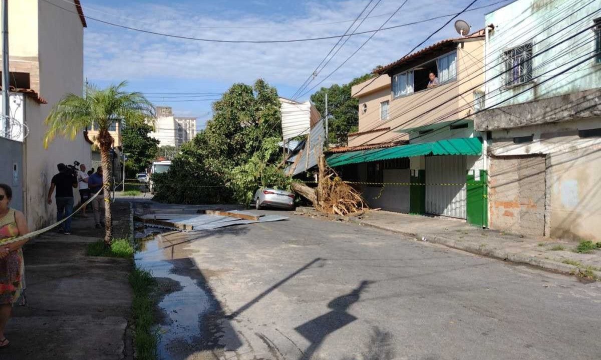 Carro foi atingido pela árvore -  (crédito: Edesio Ferreira/EM/D.A. Press)