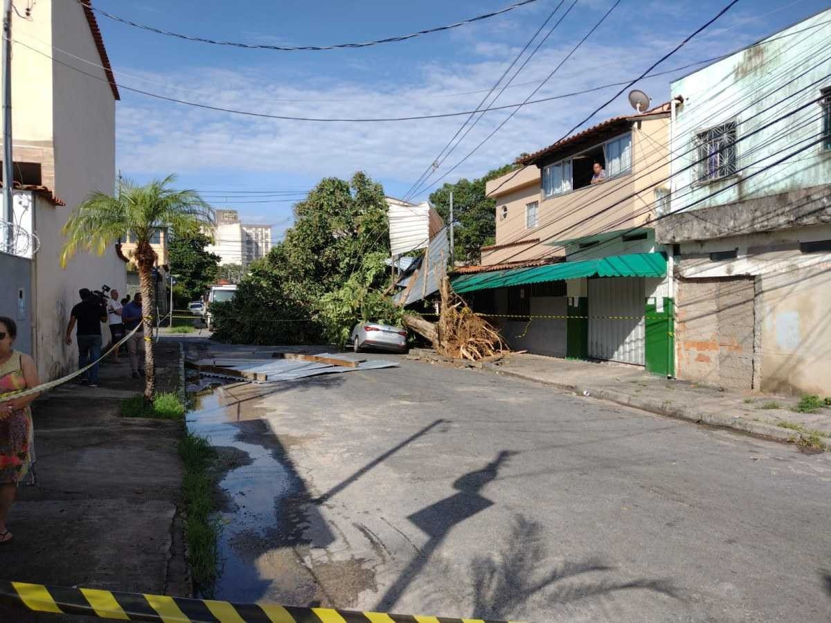 Chuva derruba árvore e deixa família presa dentro de casa na Pampulha, em BH