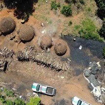 Polícia descobre carvoaria ilegal por satélite e multa responsável em R$ 30 mil - PMMG