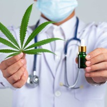  Mitos e verdades sobre o tratamento via inalação da flor de Cannabis -  jcomp/Freepik