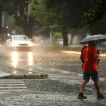 Chuvas em Minas: 392 cidades estão sob alerta para temporais de até 100mm - Túlio Santos/EM/D.A. Press