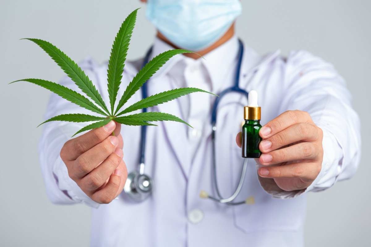  Mitos e verdades sobre o tratamento via inalação da flor de Cannabis