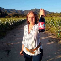 Brasileiras fazem vinho de qualidade no Chile - ProChile/Divulgação