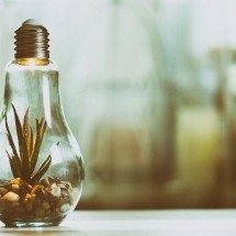 ESG e turismo: a revolução sustentável nos negócios turísticos - Uai Turismo