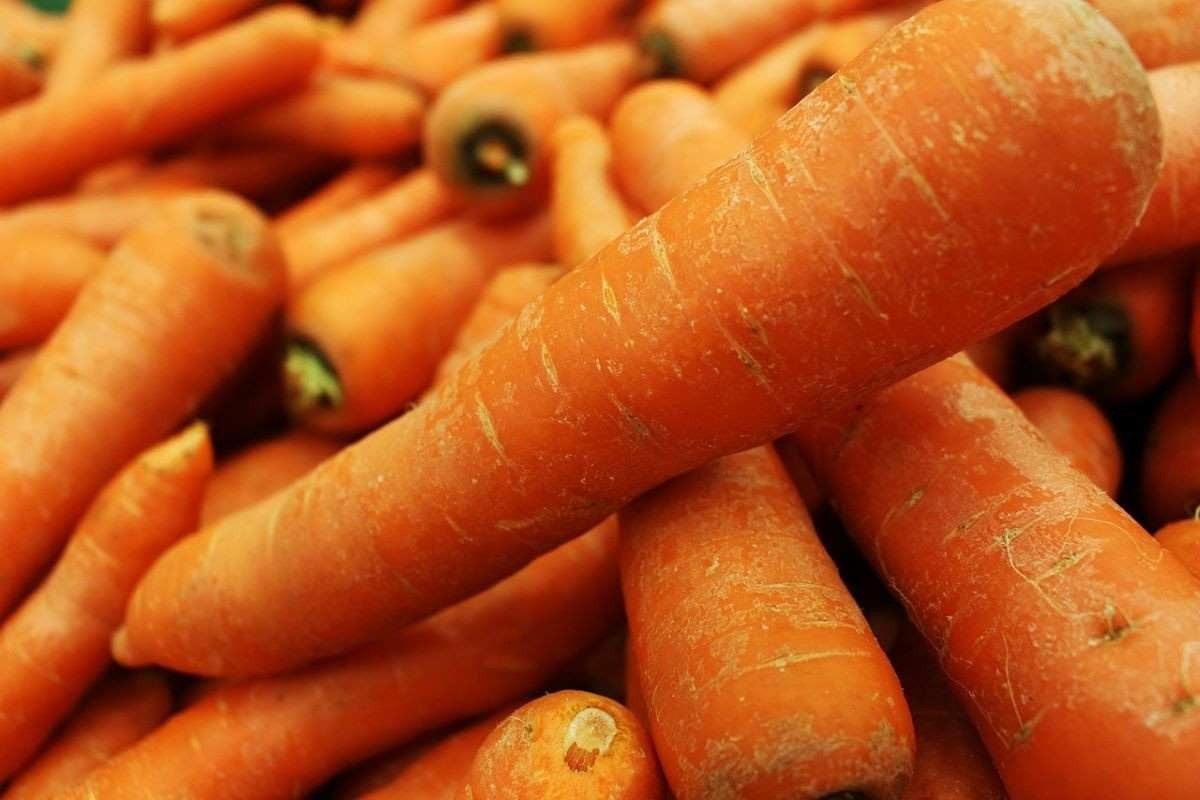 Quilo da cenoura tem aumento de 138% em BH