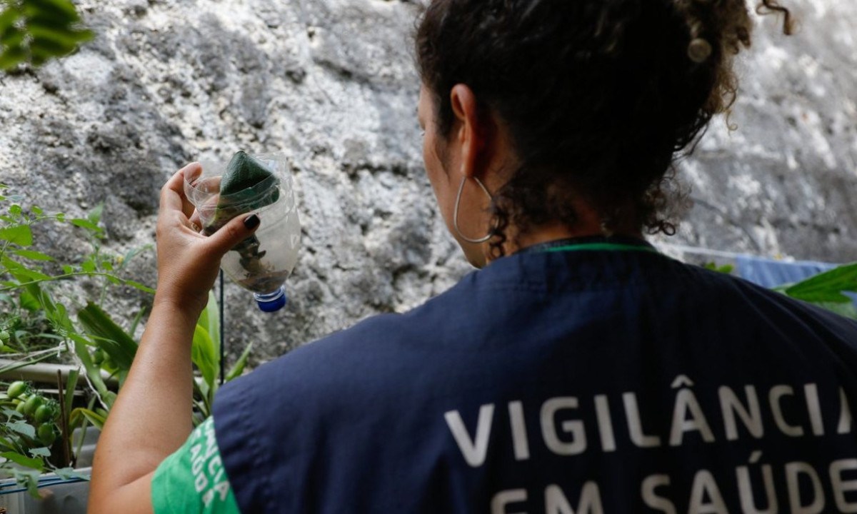 Com 32,3 mil casos prováveis, MG deve atingir pico da dengue em março -  (crédito: EBC - Saúde)