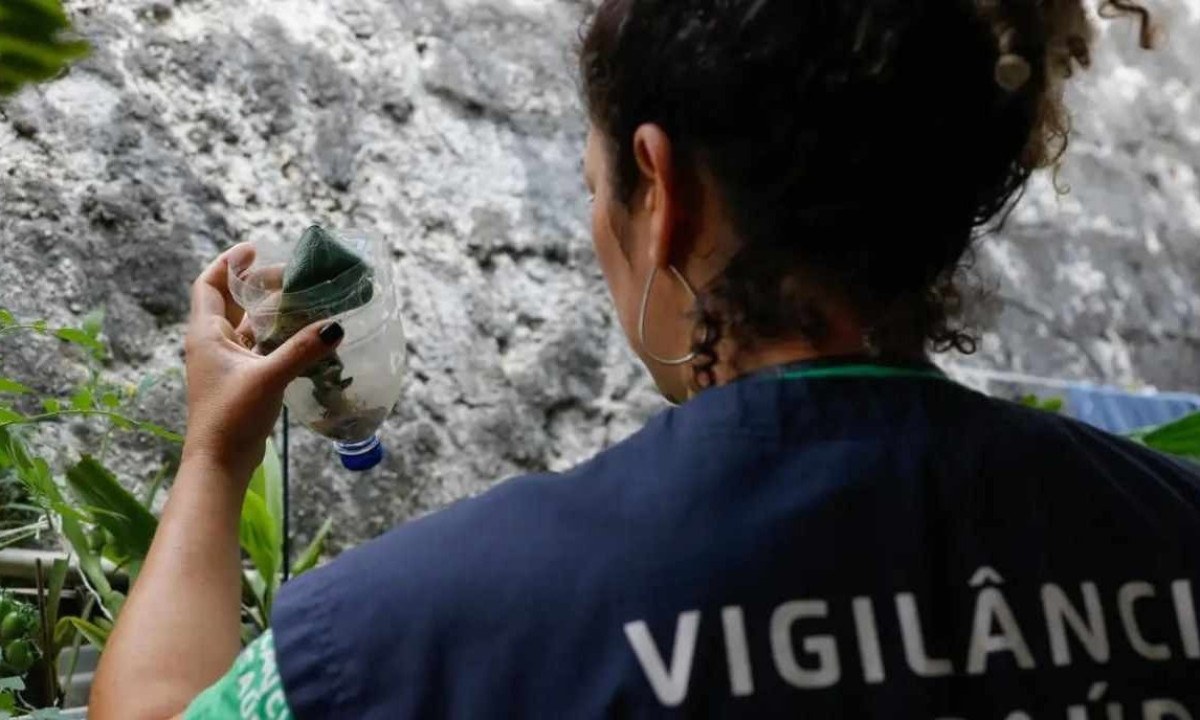 Último boletim epidemiológico, divulgado pela Secretaria de Estado de Saúde (SES-MG) nessa segunda-feira (22/1), confirmou a primeira morte por dengue neste ano no estado -  (crédito: Fernando Frazão/Agência Brasil)