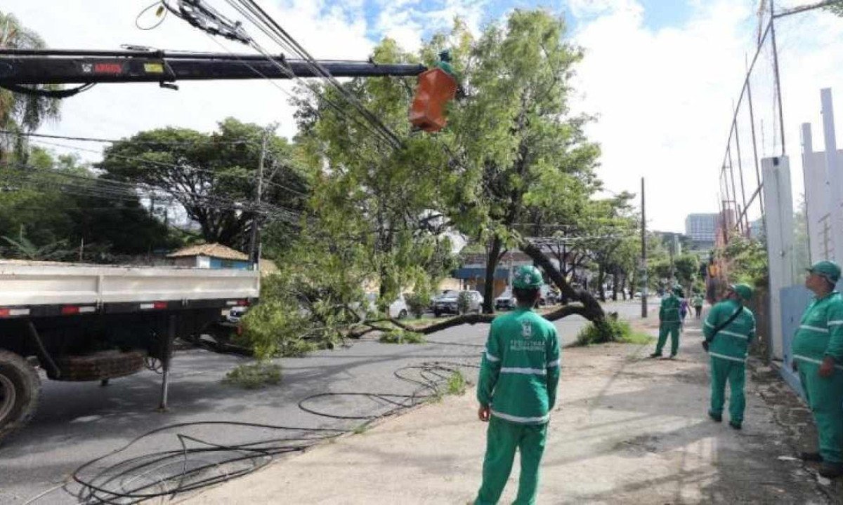 Equipes de limpeza da PBH trabalham para liberar as vias, recolher entulhos, galhos e troncos de árvores, desobstruir e limpar bocas de lobo. -  (crédito: Adão de Souza/PBH)