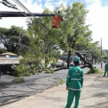 BH: equipes de limpeza retiram 115 toneladas de lixo depois de temporal - Adão de Souza/PBH
