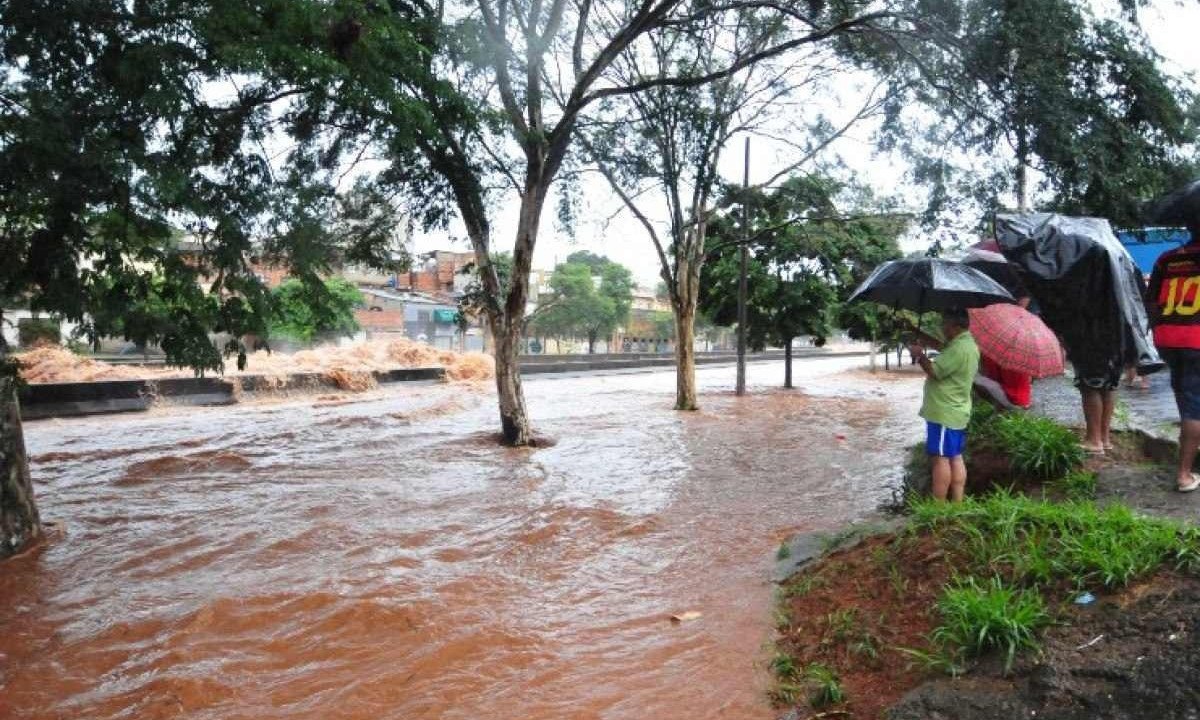 De acordo com o Ministério da Saúde, entre janeiro e novembro de 2023, o país registrou cerca de 2 mil casos de Leptospirose e mais de 180 mortes. Para evitar a transmissão da doença é importante minimizar ao máximo o contato com a água suja e barrenta -  (crédito:  Gladyston Rodrigues/EM/D.A Press)