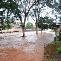 Descubra os riscos de contaminação durante o período de chuvas -  Gladyston Rodrigues/EM/D.A Press