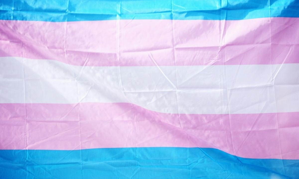 Iniciativa acontecerá durante o Dia Nacional da Visibilidade Trans, que é celebrado desde 2004 -  (crédito: Unsplash/Reprodução)