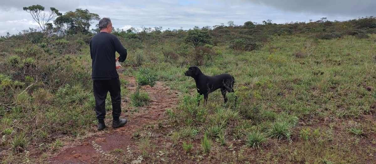 Abandono de cães deixa rastros de riscos no Rola-Moça