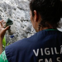 Casos de chikungunya dobram em uma semana em Minas Gerais - EBC - Saúde