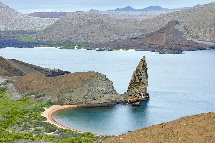 Galápagos: Espetáculo da Natureza que fascina os cientistas - pen ash pixabay