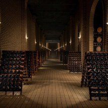 Vindima 2024 da Casa Valduga: experiência imersiva completa na cultura italiana - Uai Turismo