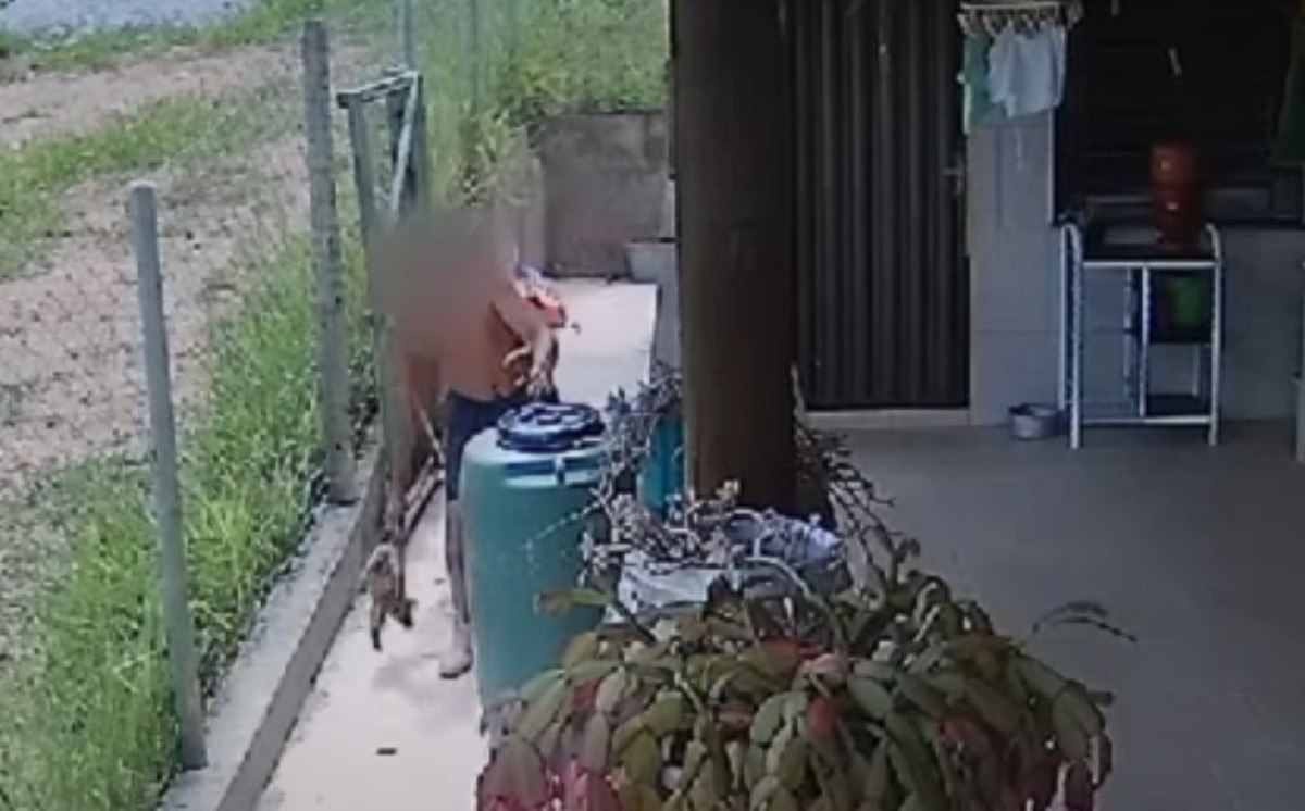 Estudante de veterinária é indiciado por matar cães filhotes a marteladas