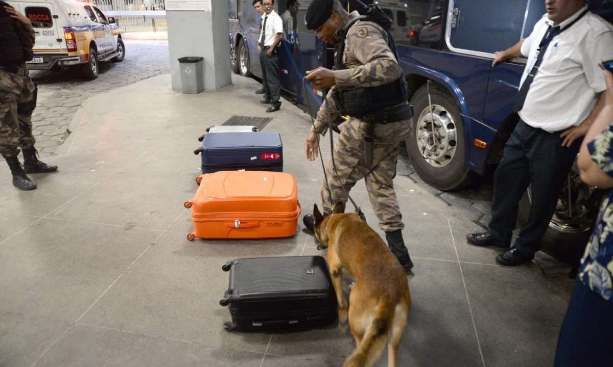  Cães farejadores inspecionam malas e ônibus no desembarque da Rodoviária de BH -  (crédito: Túlio Santos/EM/D.A.Press)