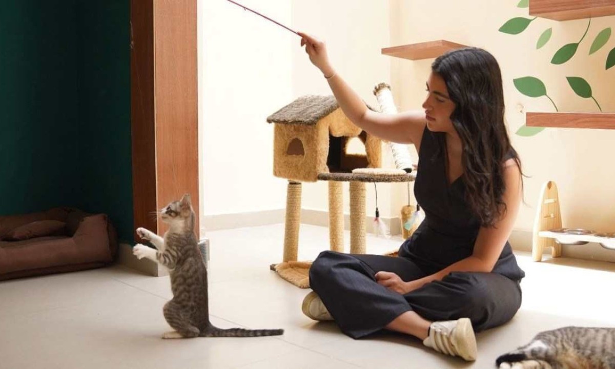 Catarina Hauck, de 16 anos, inaugura seu primeiro negócio, o PetCafé, uma cafeteria pet friendly que teve como inspiração uma viagem ao Canadá -  (crédito: PetCafé/Divulgação)