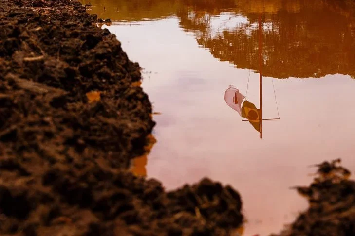 wikimedia commons Diego Baravelli