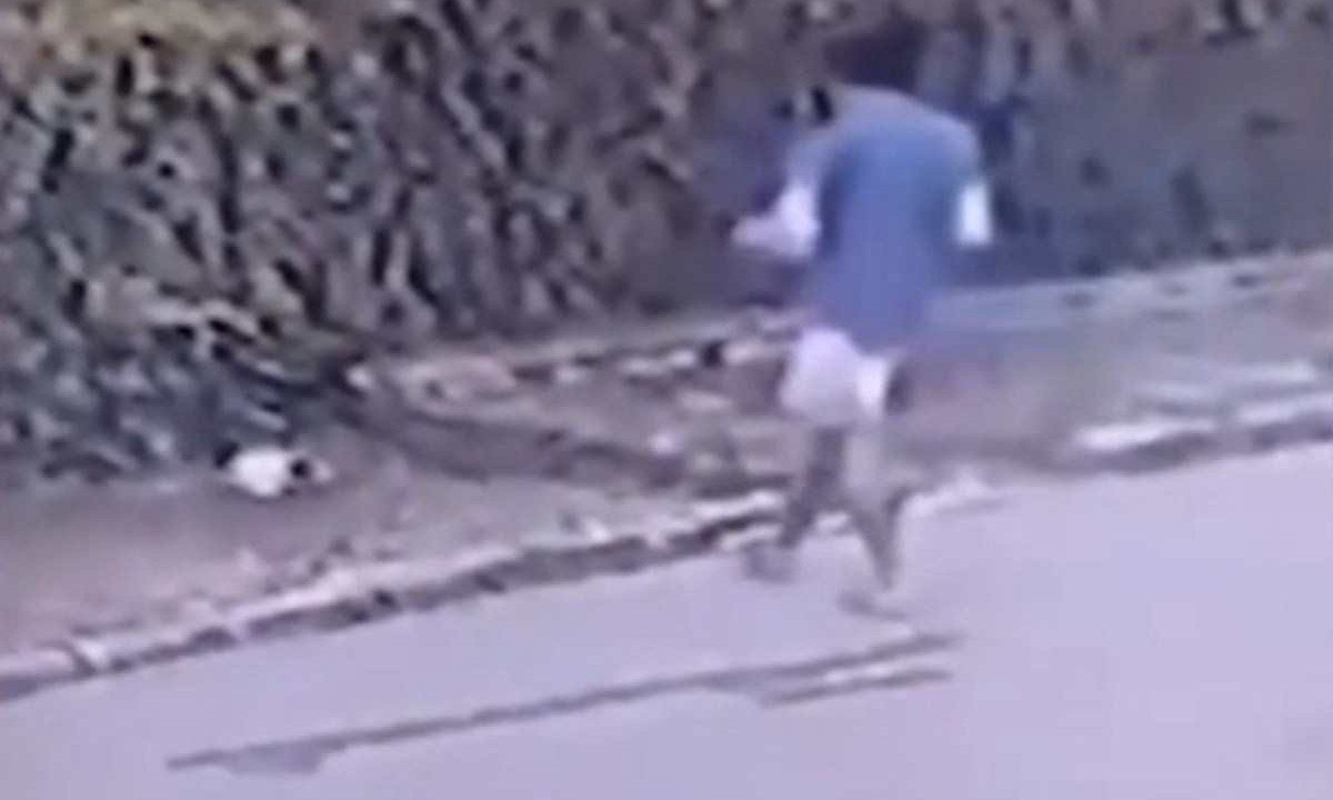 Animal foi morto em 22 de janeiro deste ano no Bairro Jardim Bela Vista -  (crédito: C&acirc;mera de monitoramento/Reprodu&ccedil;&atilde;o)