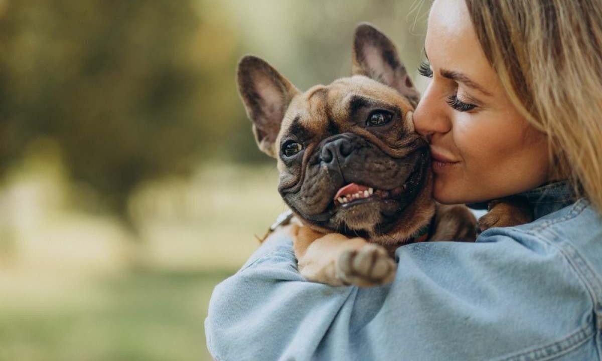Para o psicólogo, não há nada de errado em ter pets e tratá-los bem, desde que isso não se torne uma forma de alienação, de isolamento, de substituição, de negação ou de fuga da realidade -  (crédito: senivpetro/Freepik)