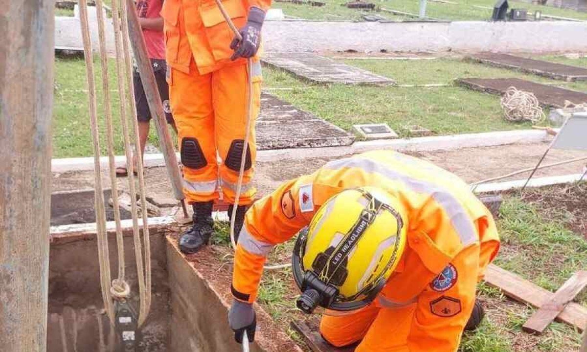 Vaca caiu dentro de túmulo, em Alfenas, no Sul de Minas, e teve que ser resgatada pelos bombeiros -  (crédito: Corpo de Bombeiros/Divulgação)