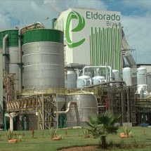 A verdadeira vencedora da disputa pela Eldorado Celulose - Reprodução/Eldorado Celulose