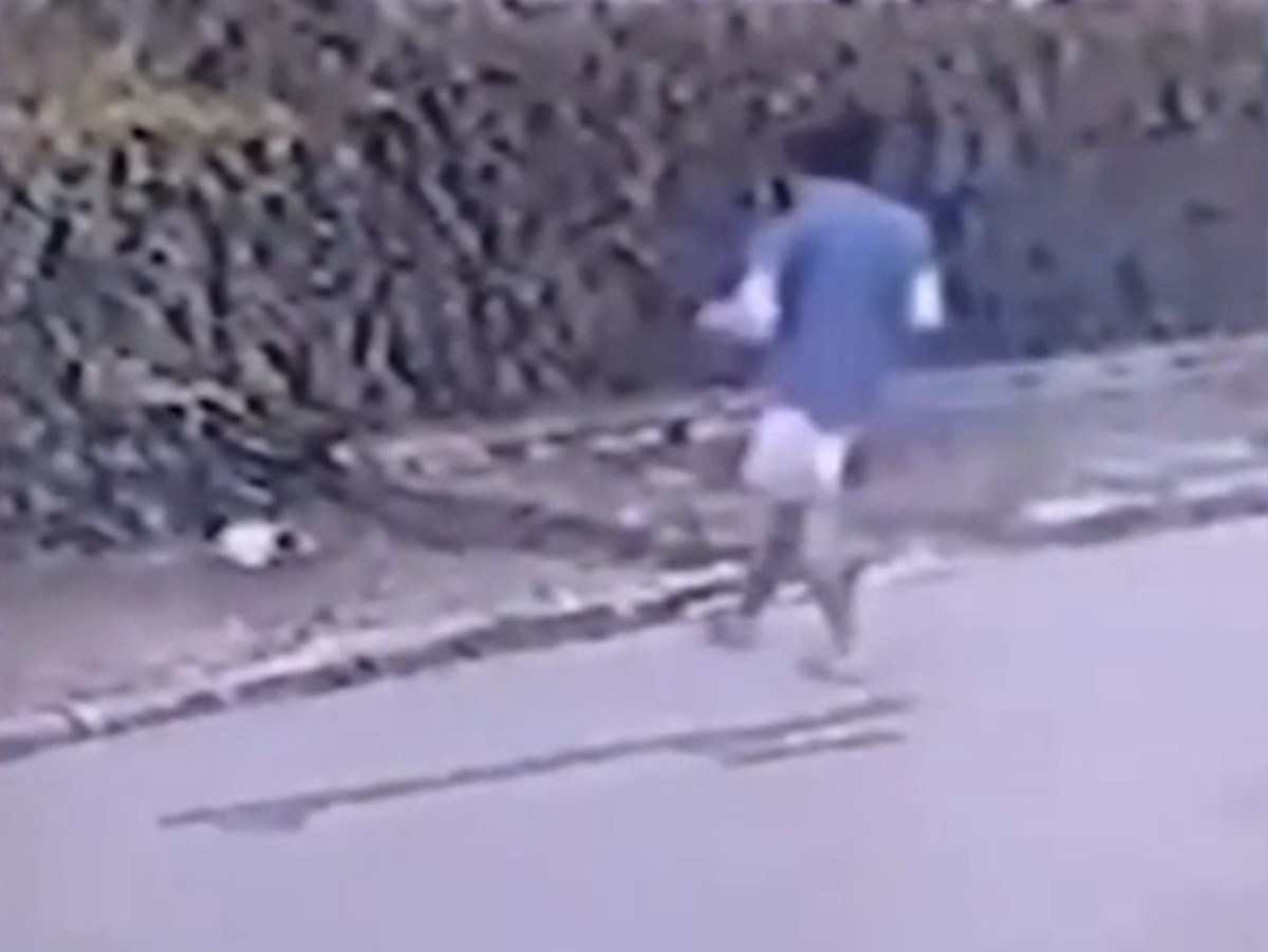 Vídeo: homem que matou filhote de cachorro a tijoladas na Grande BH é indiciado