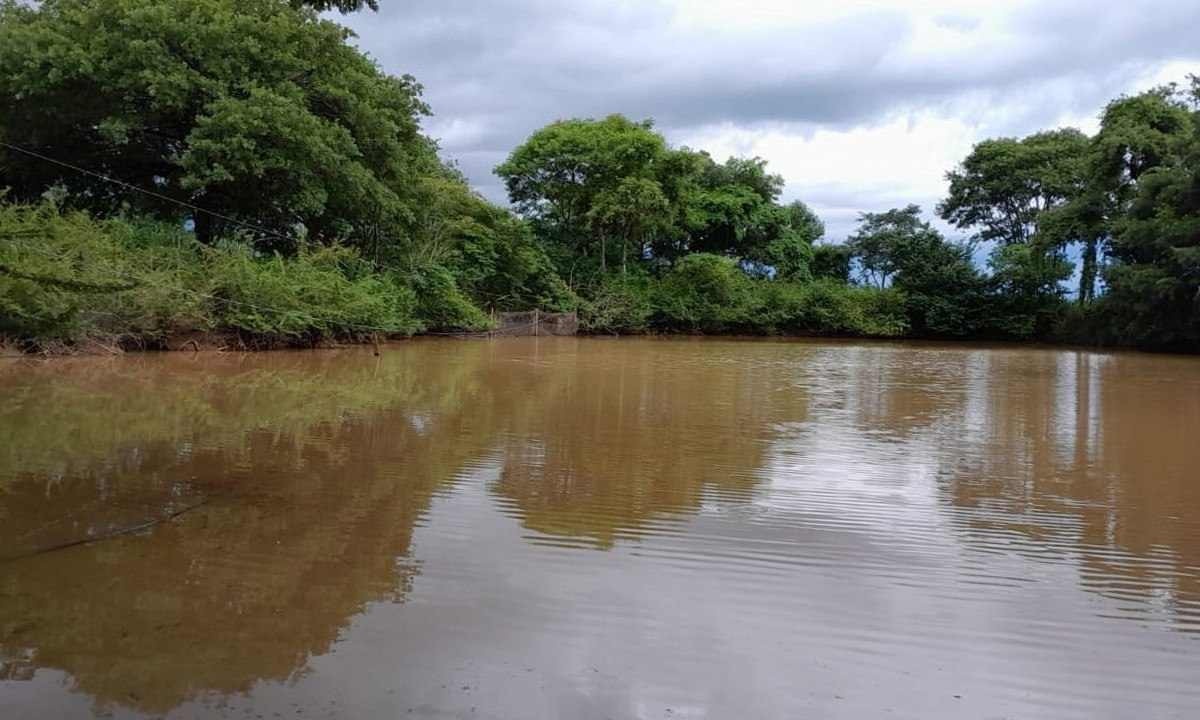 Fim da estiagem nas lavouras do Norte de Minas