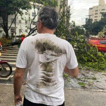 Árvore cai e atinge idoso e carro na Avenida Getúlio Vargas, em BH - Clara Mariz/EM/D.A. Press
