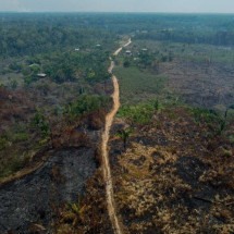 Greve reduz controles sobre desmatamento e garimpo ilegal no Brasil - MICHAEL DANTAS / AFP