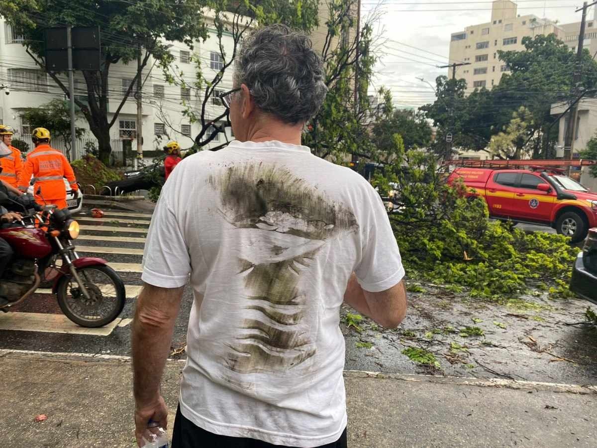 Árvore cai e atinge idoso e carro na Avenida Getúlio Vargas, em BH