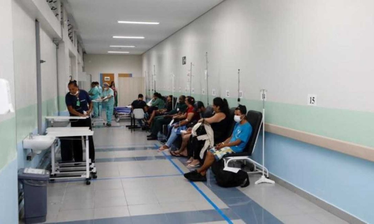 Até esta quarta-feira (7/2), foram confirmados 1.952 casos e três óbitos, além de 151 casos de chikungunya em Belo Horizonte -  (crédito: Amira Hissa/PBH/Divulgação)
