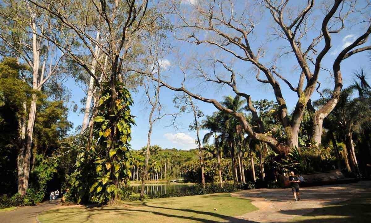 Localizado em Brumadinho, o museu conta com 24 galerias e um jardim botânico cujas espécies serão tema da oficina 