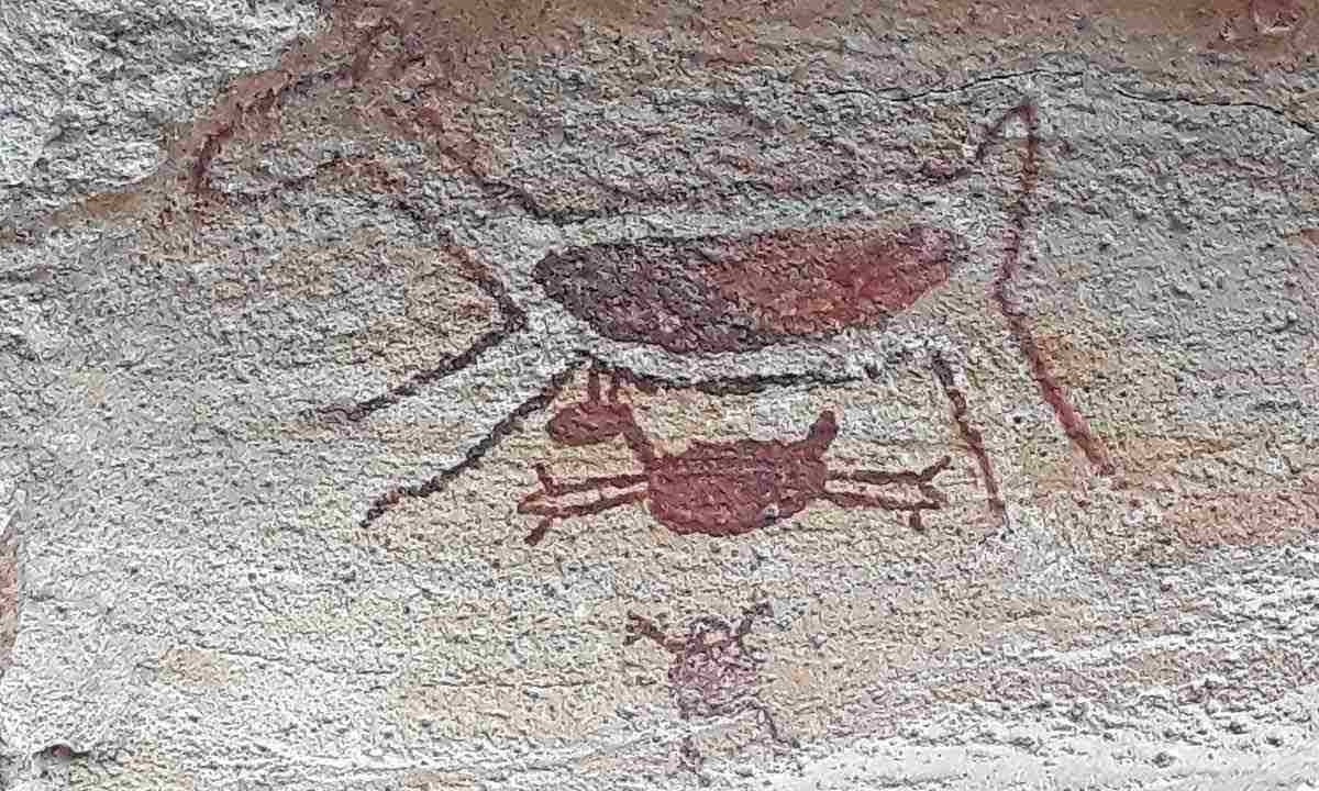 Perfil biográfico da arqueóloga Niéde Guidon também conta a história do parque do Piauí que acolhe mais de mil sítios com pinturas rupestres -  (crédito: GUSTAVO WERNECK/EM/D.A PRESS)