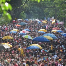 Carnaval em BH terá mais de 70 blocos neste domingo; veja alterações no trânsito - Alexandre Guzanshe/EM/D.A. Press