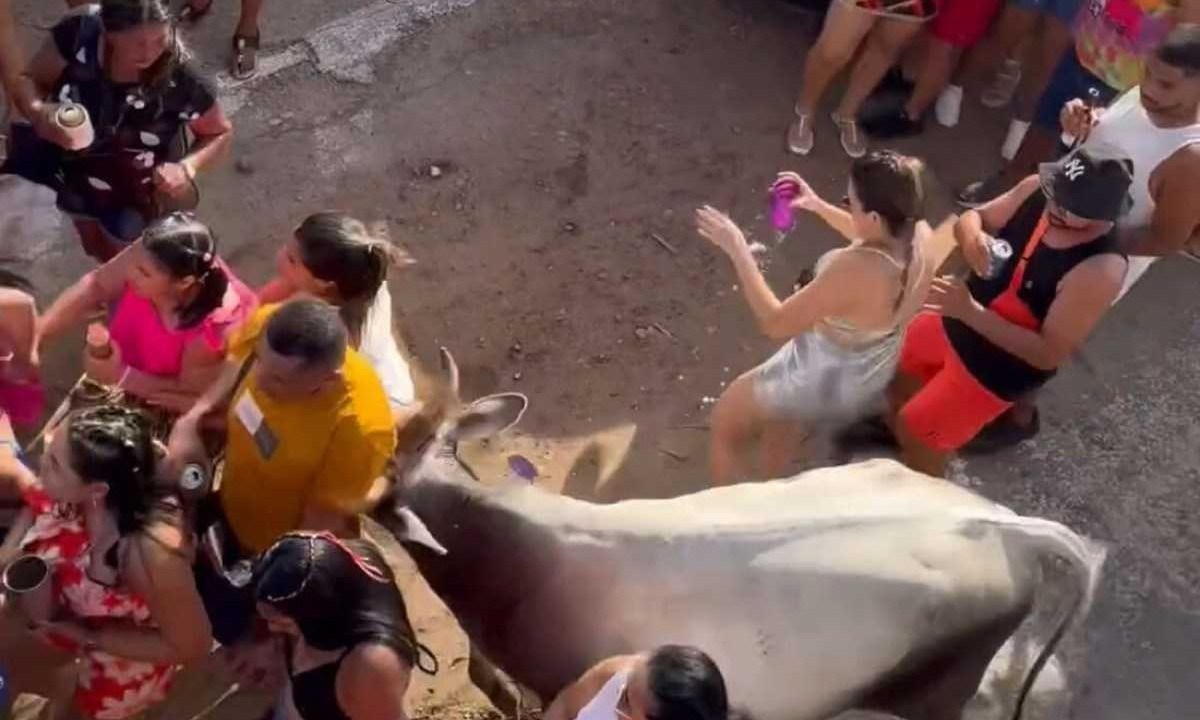 Vaca atingiu foliões durante desfile -  (crédito: Reprodução/Redes sociais)