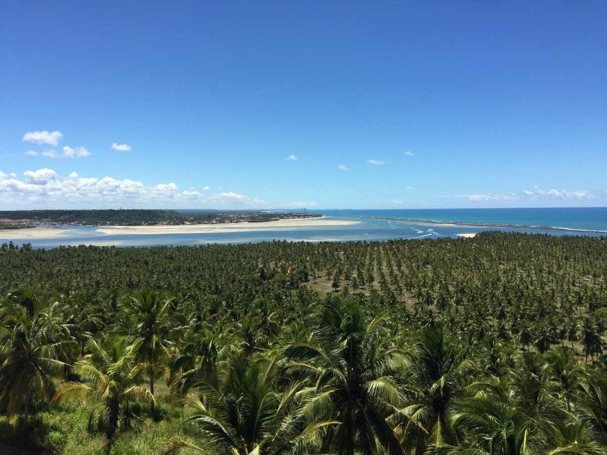 Ao Sul da capital, a Praia do Gunga revela paisagem exuberante dos coqueirais e da Barra de São Miguel   