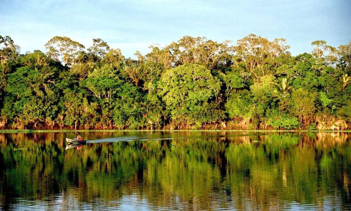 Floresta Amazônica pode entrar em colapso -  (crédito: Andre Deak/Flickr)