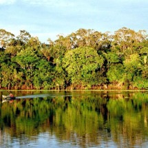 Amazônia pode entrar em colapso em 2050, aponta pesquisa - Andre Deak/Flickr