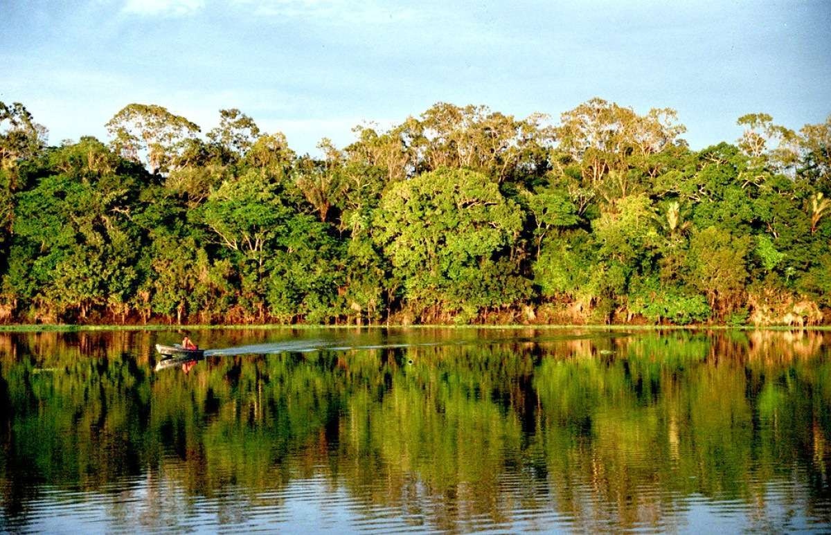 Amazônia pode entrar em colapso em 2050, aponta pesquisa
