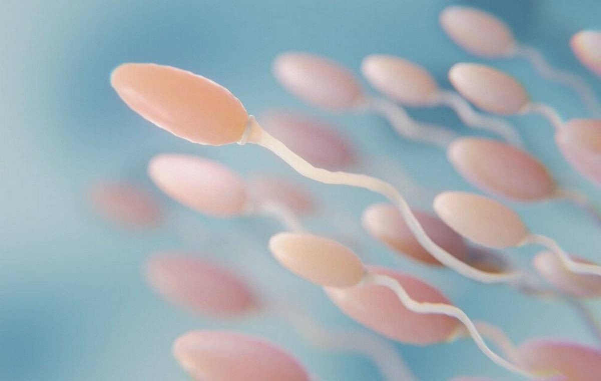 Estudo liga agrotóxicos a declínio global da fertilidade masculina e da contagem de espermatozoides