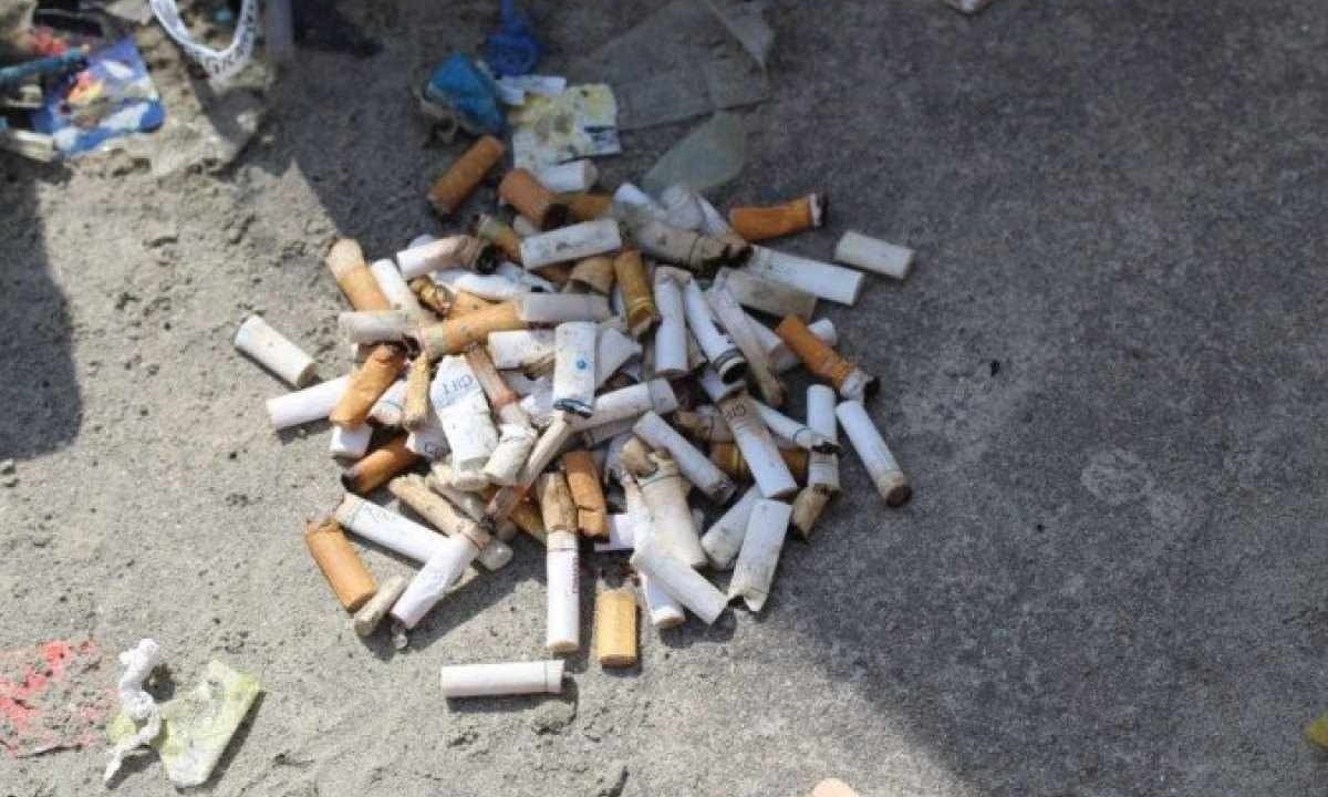 Pontas de cigarro são o principal poluente encontrado na areia da praia  -  (crédito:  Rodrigo Choueri/Unifesp)