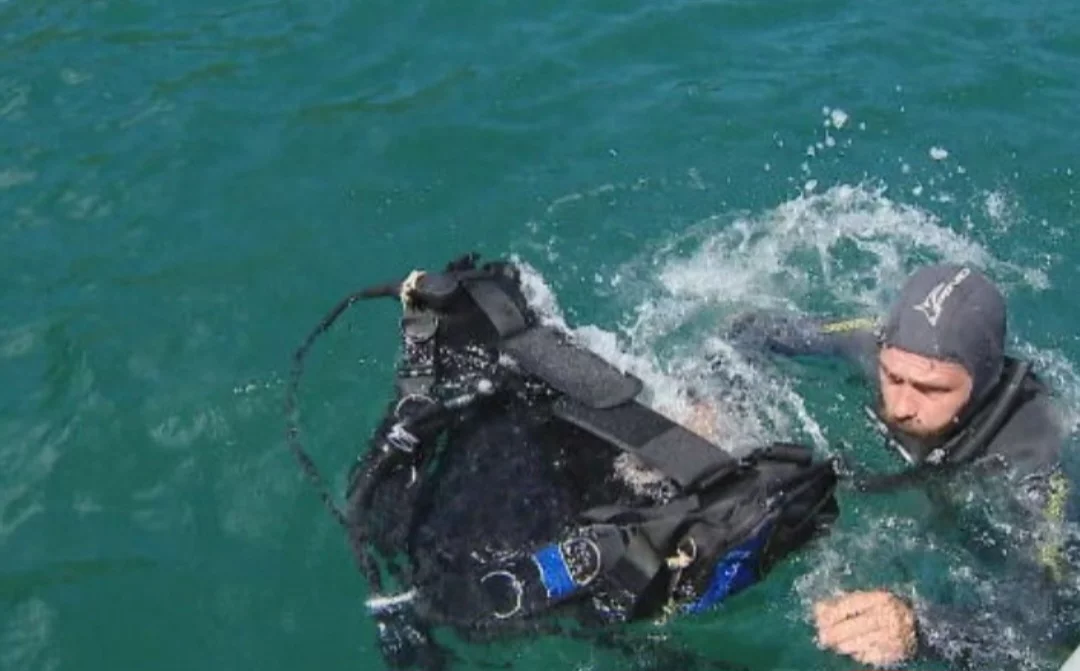 Coral-Sol: Mergulhadores removem espécie invasora no litoral brasileiro - Reprodução TV Globo
