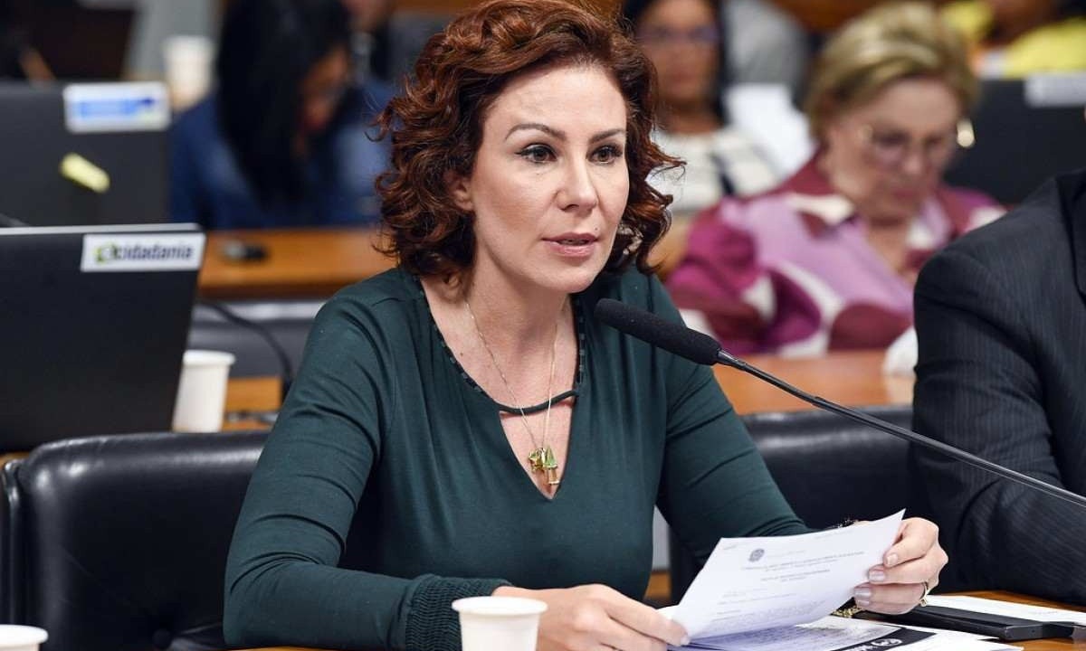 A deputada foi multada por publicações feitas em 2022 -  (crédito:  Roque de Sá/Agência Senado)