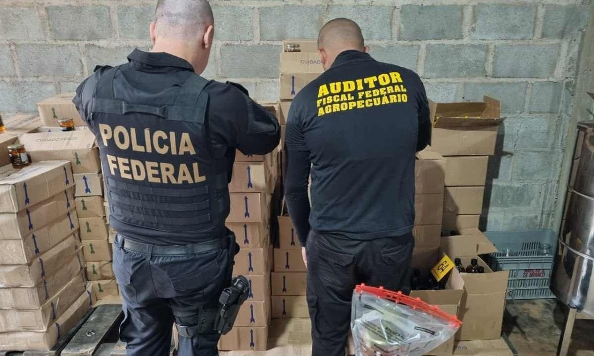 Agentes da Polícia Federal foram até endereços relacionados aos membros da organização criminosa -  (crédito: Polícia Federal/Divulgação)