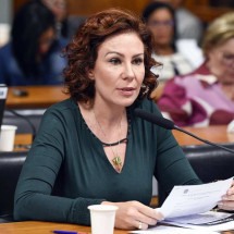 TSE multa Carla Zambelli em R$ 30 mil por fake contra Lula na eleição -  Roque de Sá/Agência Senado